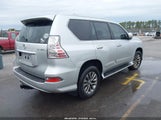 Miniaturka zdjęcia 4