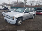 Chevrolet Trailblazer Ls 1GNDT13S452140437 снимка