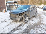 Miniaturka zdjęcia 2
