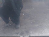 Nissan Juke Sv JN8AF5MR0BT016567 снимка