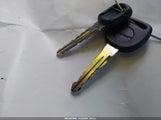 Miniaturka zdjęcia 11