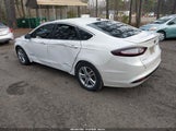 Miniaturka zdjęcia 3