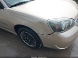 Chevrolet Malibu Lt 1G1ZT51816F283815 photo