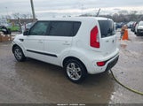 Miniaturka zdjęcia 3