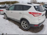 Miniaturka zdjęcia 3