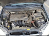 Miniaturka zdjęcia 10