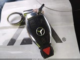 Miniaturka zdjęcia 11