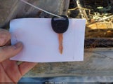 Miniaturka zdjęcia 11