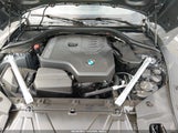 BMW Z4 Sdrive30I WBAHF3C07TWY51564 fotografie