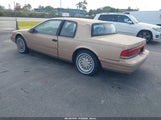 Miniaturka zdjęcia 3