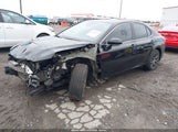 Miniaturka zdjęcia 2