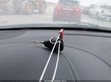 Miniaturka zdjęcia 11