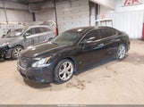 Nissan Maxima 3.5 Sv 1N4AA5APXCC847028 снимка