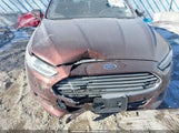 Miniaturka zdjęcia 6