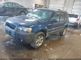 Ford Escape Xlt/Xlt Sport 1FMYU03157KB35822 fotografie