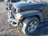 Jeep Wrangler Unlimited Freedom 4X4 1C4HJXDN5MW755744 photo