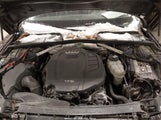 Audi A4 2.0T Premium WAUENAF41HN006358 снимка
