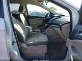 Miniaturka zdjęcia 5