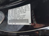 Miniaturka zdjęcia 9