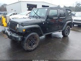 Jeep Wrangler Unlimited Black Bear 1C4BJWDGXGL133602 photo