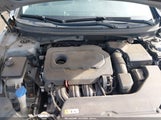 Hyundai Sonata Sport 5NPE34AFXFH248341 photo