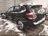 Miniaturka zdjęcia 3