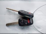 Miniaturka zdjęcia 11