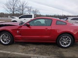 Ford Mustang V6 Premium 1ZVBP8AM9D5258544 снимка