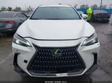 Lexus Nx 350H Premium JTJGKCEZ9P2014668 снимка