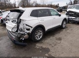 Miniaturka zdjęcia 4