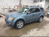 Ford Escape Xlt 1FMCU9DG2CKA82461 fotografie