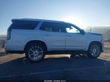 Cadillac Escalade 2Wd Premium Luxury 1GYS3BKL1MR266190 fotografie