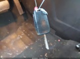 Miniaturka zdjęcia 11