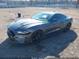 Ford Mustang Ecoboost Fastback 1FA6P8TH1M5102623 снимка