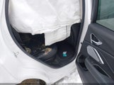 Miniaturka zdjęcia 8
