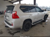 Lexus Gx 460 Premium JTJJM7FX8A5001260 снимка