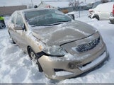 Toyota Corolla Le 1NXBU40E39Z016923 снимка