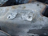 Ford F-150 Stx 1FTFX1EF6EKG39424 снимка
