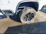 Chevrolet Silverado 2500Hd 4Wd Standard Bed Zr2 1GC4KYEY8SF246769 photo