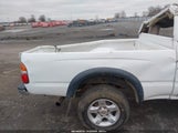 Toyota Tacoma 5TEPM62N81Z723613 fotografie