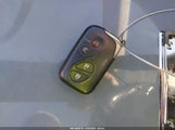 Miniaturka zdjęcia 11