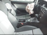 Miniaturka zdjęcia 5