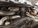 Ford F-250 Cabela's/Harley-Davidson/King Ranch/Lariat/Xl/Xlt 1FTSW2BR4AEB14618 photo