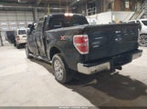 Ford F-150 Xlt 1FTFW1ET0EFB04994 снимка