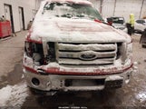 Ford F-150 Fx2 Sport/Stx/Xl/Xlt 1FTEX1C8XAFA64523 photo