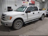 Ford F-150 Xlt 1FTFW1EF2DKE95260 снимка