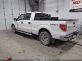 Ford F-150 Xlt 1FTFW1EF2DKE95260 снимка