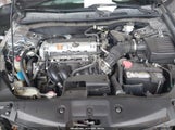 Miniaturka zdjęcia 10