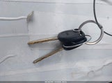 Miniaturka zdjęcia 11