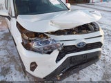 Toyota Rav4 Hybrid Xle Premium 2T3B6RFV5MW022933 photo